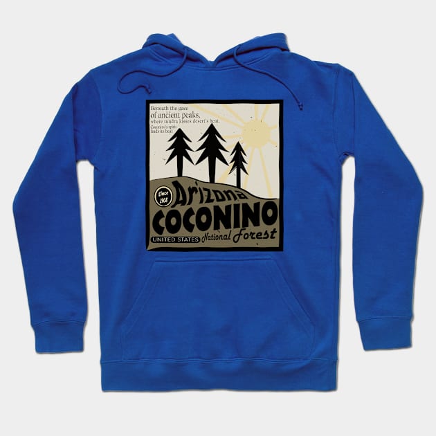 coconino national forest arizona Hoodie by Alexander Luminova